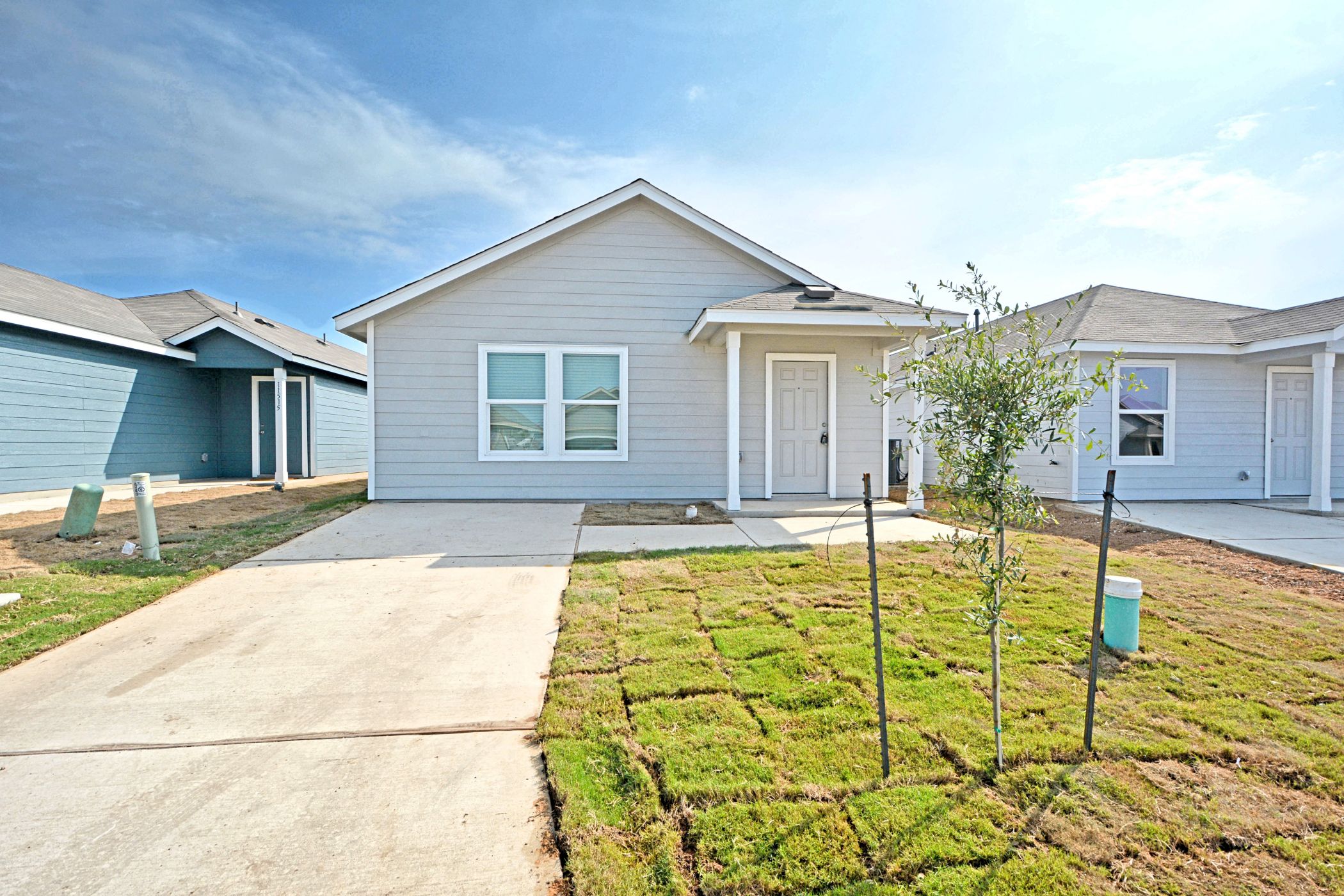 11519 Field Briar